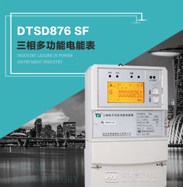 產品型號：DTSD876 SF型 三相多功能電能表
精度等級：有功0.5級 1級；無功2級 
額定電壓： 3×100V 3×57.7/100V 3×220/380V 
額定電流： 1.5(6)A 5(20)A 10(40)A 15(60)A 20(80)A 30(100)A 
頻 率： -40℃～+70℃ 
工作溫度：≤0.5S 
顯示方式： ≥1000mAh 
整機功耗： ≥10年 
重量： 約2.4kg 
外形尺寸： 293mm×175mm×80mm
